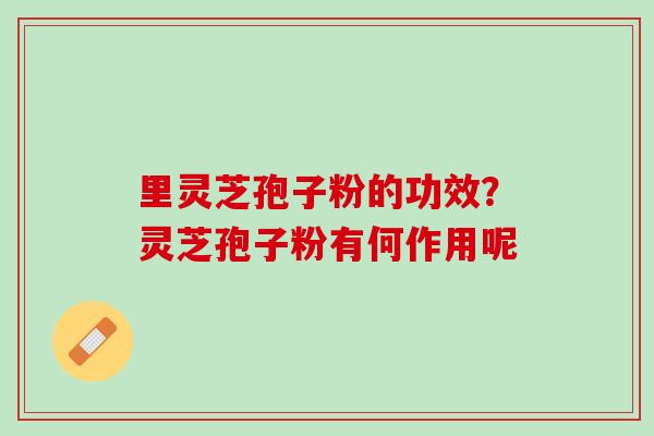 里灵芝孢子粉的功效？灵芝孢子粉有何作用呢
