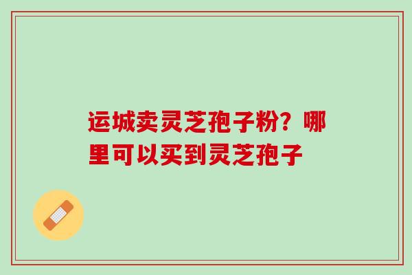 运城卖灵芝孢子粉？哪里可以买到灵芝孢子