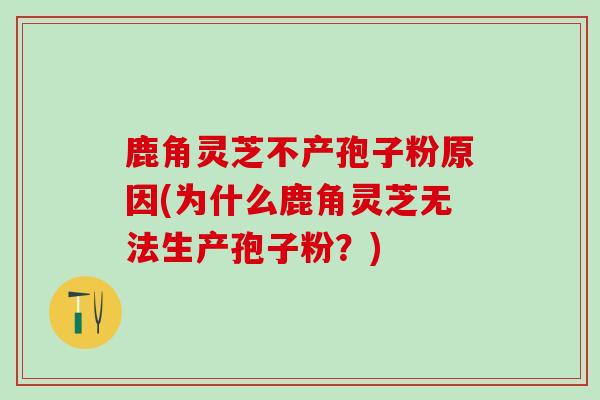 鹿角灵芝不产孢子粉原因(为什么鹿角灵芝无法生产孢子粉？)