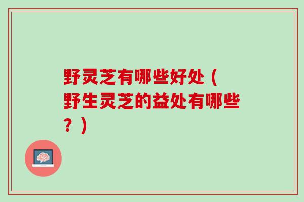 野灵芝有哪些好处 (野生灵芝的益处有哪些？)