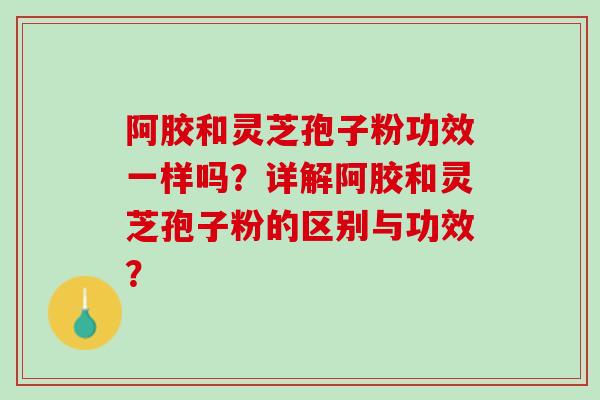 阿胶和灵芝孢子粉功效一样吗？详解阿胶和灵芝孢子粉的区别与功效？