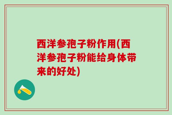 西洋参孢子粉作用(西洋参孢子粉能给身体带来的好处)