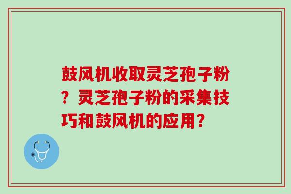 鼓风机收取灵芝孢子粉？灵芝孢子粉的采集技巧和鼓风机的应用？