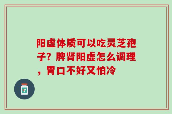 阳虚体质可以吃灵芝孢子？脾肾阳虚怎么调理，胃口不好又怕冷