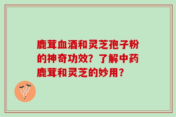 鹿茸血酒和灵芝孢子粉的神奇功效？了解中药鹿茸和灵芝的妙用？