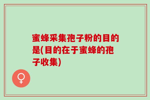 蜜蜂采集孢子粉的目的是(目的在于蜜蜂的孢子收集)