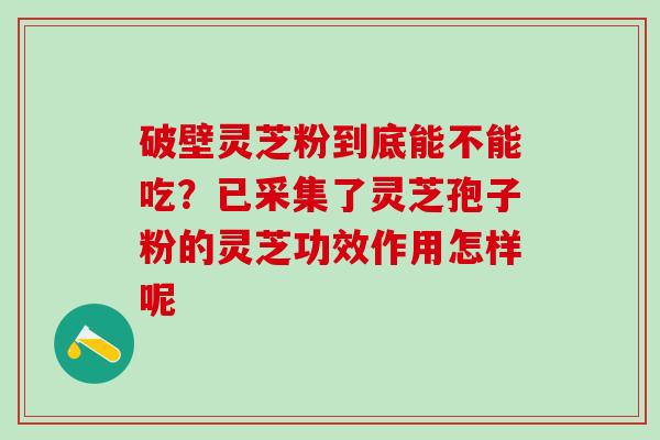 破壁灵芝粉到底能不能吃?已采集了灵芝孢子粉的灵芝功效作用怎样呢 破壁灵芝粉到底能不能吃?已采集了灵芝孢子粉的灵芝功效作用怎样呢