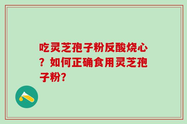 吃灵芝孢子粉反酸烧心？如何正确食用灵芝孢子粉？
