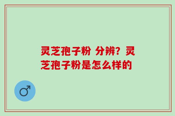 灵芝孢子粉 分辨？灵芝孢子粉是怎么样的