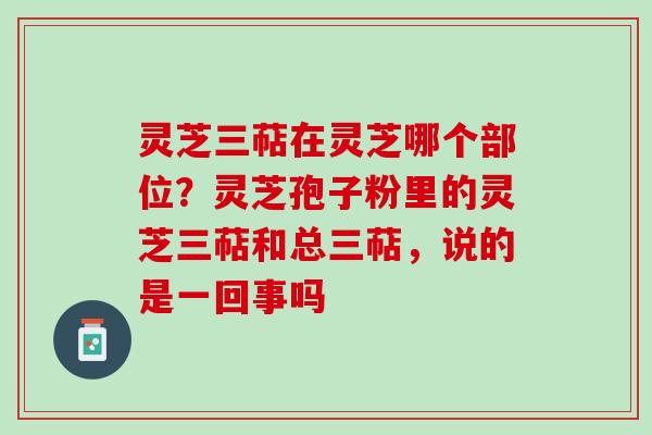 灵芝三萜在灵芝哪个部位？灵芝孢子粉里的灵芝三萜和总三萜，说的是一回事吗