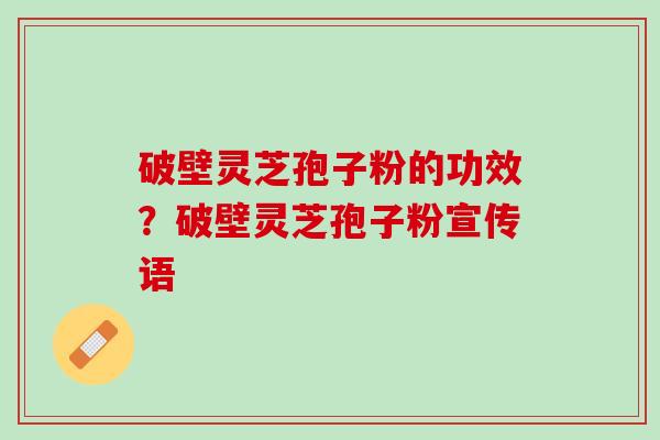 破壁灵芝孢子粉的功效？破壁灵芝孢子粉宣传语
