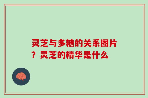 灵芝与多糖的关系图片？灵芝的精华是什么