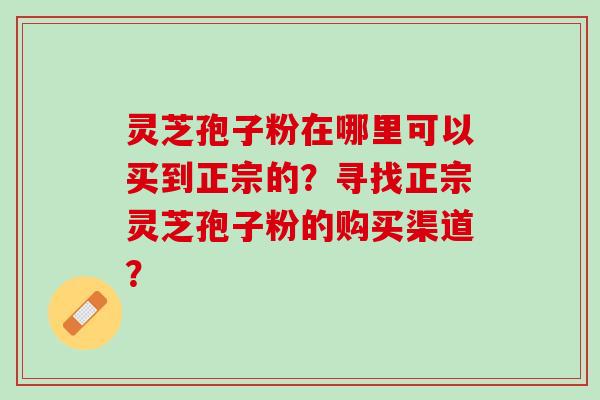 灵芝孢子粉在哪里可以买到正宗的？寻找正宗灵芝孢子粉的购买渠道？