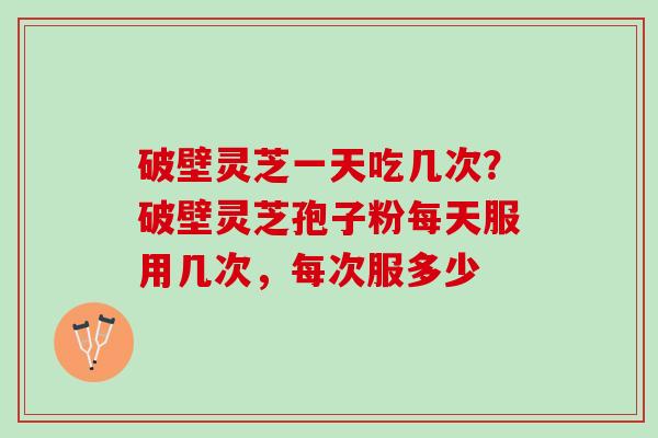 破壁灵芝一天吃几次？破壁灵芝孢子粉每天服用几次，每次服多少