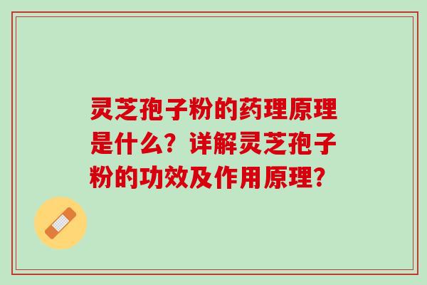 灵芝孢子粉的药理原理是什么？详解灵芝孢子粉的功效及作用原理？