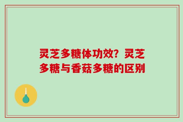 灵芝多糖体功效？灵芝多糖与香菇多糖的区别