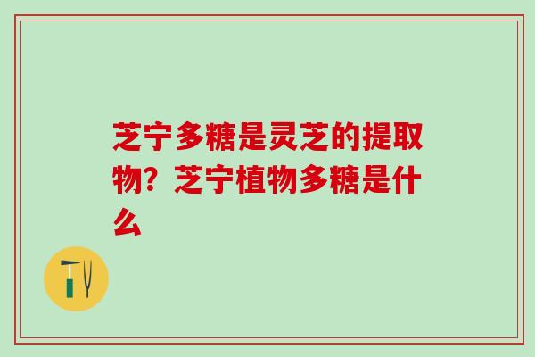 芝宁多糖是灵芝的提取物？芝宁植物多糖是什么