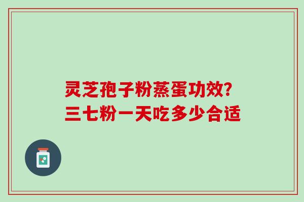灵芝孢子粉蒸蛋功效？三七粉一天吃多少合适