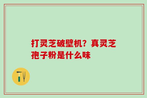 打灵芝破壁机？真灵芝孢子粉是什么味