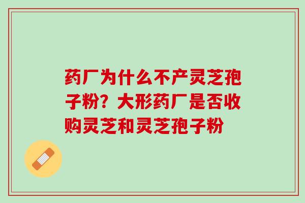 药厂为什么不产灵芝孢子粉？大形药厂是否收购灵芝和灵芝孢子粉