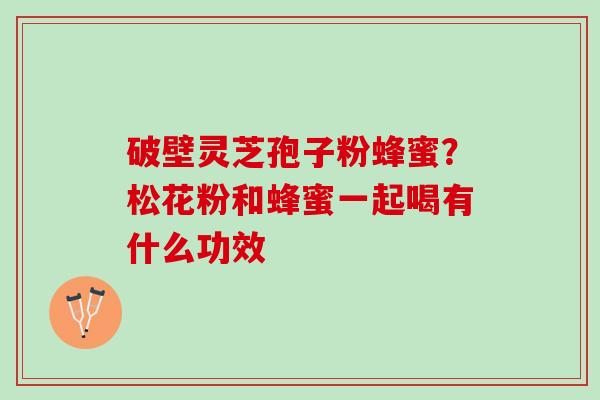 破壁灵芝孢子粉蜂蜜？松花粉和蜂蜜一起喝有什么功效