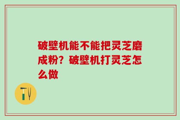 破壁机能不能把灵芝磨成粉?破壁机打灵芝怎么做 破壁机能不能把灵芝磨成粉?破壁机打灵芝怎么做