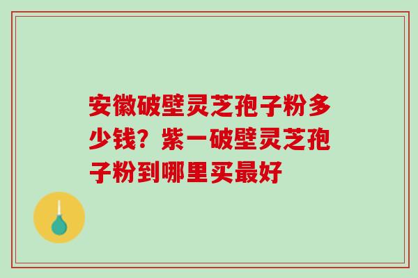 安徽破壁灵芝孢子粉多少钱？紫一破壁灵芝孢子粉到哪里买最好