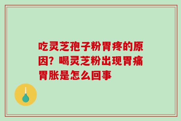 吃灵芝孢子粉胃疼的原因?喝灵芝粉出现胃痛胃胀是怎么回事 吃灵芝孢子粉胃疼的原因?喝灵芝粉出现胃痛胃胀是怎么回事
