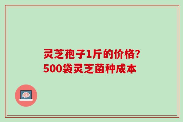 灵芝孢子1斤的价格？500袋灵芝菌种成本