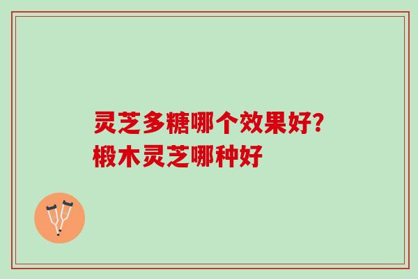 灵芝多糖哪个效果好？椴木灵芝哪种好
