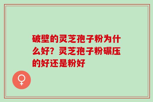 破壁的灵芝孢子粉为什么好？灵芝孢子粉碾压的好还是粉好