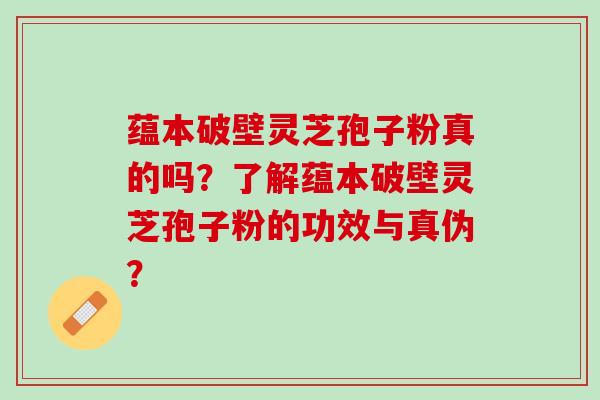 蕴本破壁灵芝孢子粉真的吗？了解蕴本破壁灵芝孢子粉的功效与真伪？