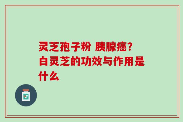 灵芝孢子粉 胰腺?白灵芝的功效与作用是什么 灵芝孢子粉 胰腺?白灵芝的功效与作用是什么