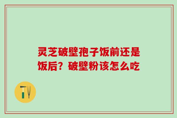 灵芝破壁孢子饭前还是饭后？破壁粉该怎么吃