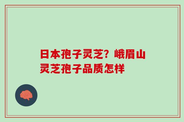 日本孢子灵芝？峨眉山灵芝孢子品质怎样