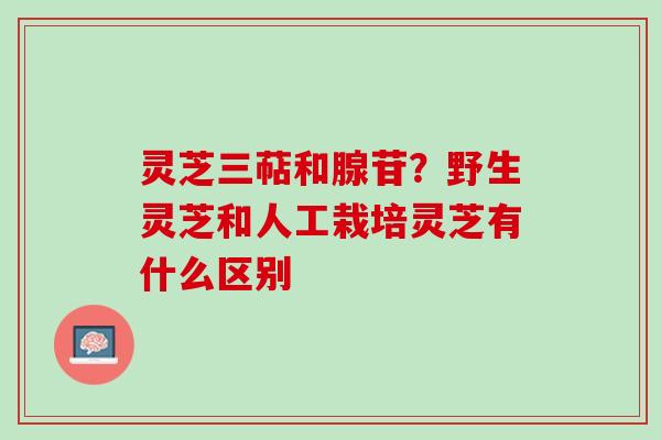 灵芝三萜和腺苷？野生灵芝和人工栽培灵芝有什么区别