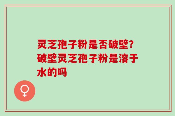 灵芝孢子粉是否破壁？破壁灵芝孢子粉是溶于水的吗