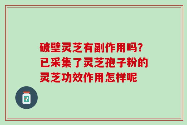 破壁灵芝有副作用吗?已采集了灵芝孢子粉的灵芝功效作用怎样呢 破壁灵芝有副作用吗?已采集了灵芝孢子粉的灵芝功效作用怎样呢