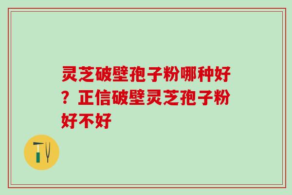 灵芝破壁孢子粉哪种好？正信破壁灵芝孢子粉好不好