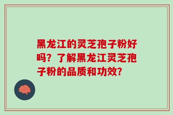 黑龙江的灵芝孢子粉好吗？了解黑龙江灵芝孢子粉的品质和功效？