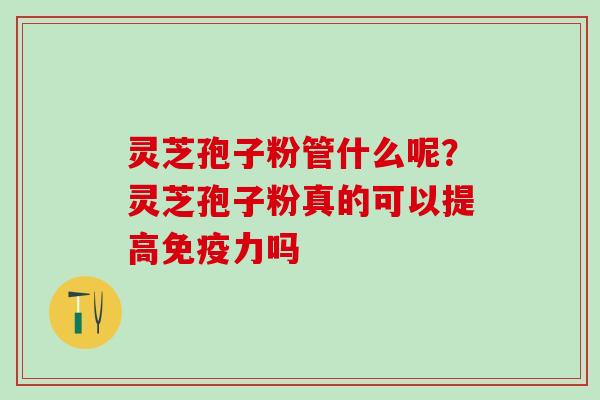 灵芝孢子粉管什么呢？灵芝孢子粉真的可以提高免疫力吗