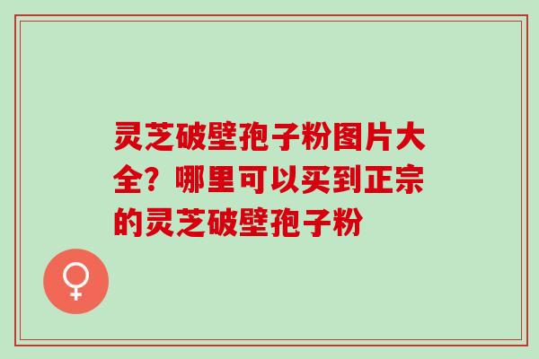 灵芝破壁孢子粉图片大全？哪里可以买到正宗的灵芝破壁孢子粉