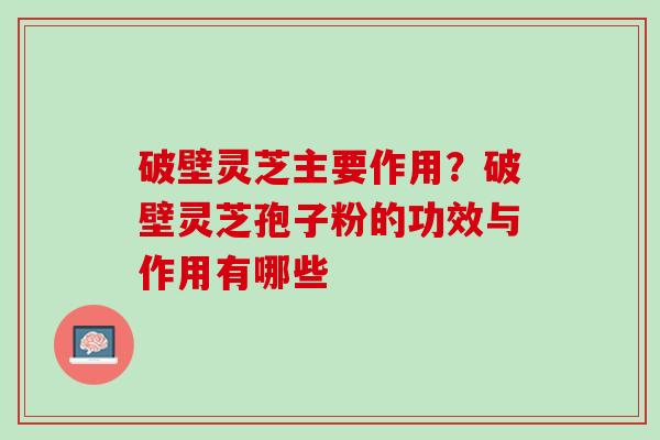 破壁灵芝主要作用?破壁灵芝孢子粉的功效与作用有哪些 破壁灵芝主要作用?破壁灵芝孢子粉的功效与作用有哪些