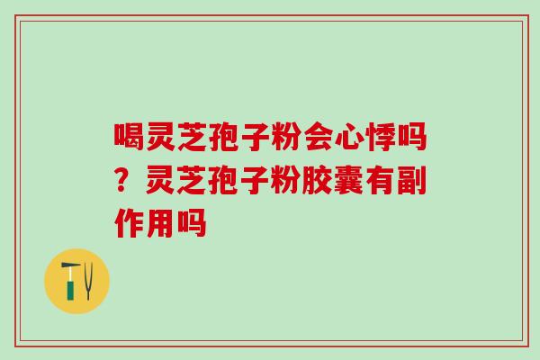 喝灵芝孢子粉会心悸吗?灵芝孢子粉胶囊有副作用吗 喝灵芝孢子粉会心悸吗?灵芝孢子粉胶囊有副作用吗