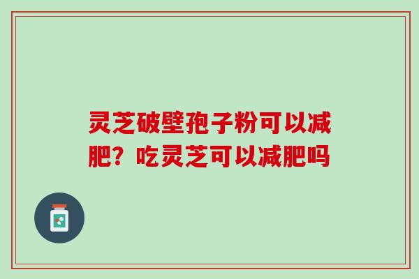 灵芝破壁孢子粉可以减肥？吃灵芝可以减肥吗