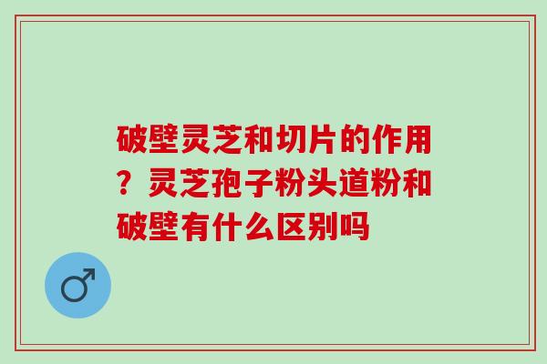 破壁灵芝和切片的作用？灵芝孢子粉头道粉和破壁有什么区别吗