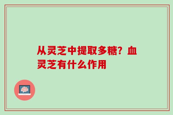从灵芝中提取多糖？血灵芝有什么作用