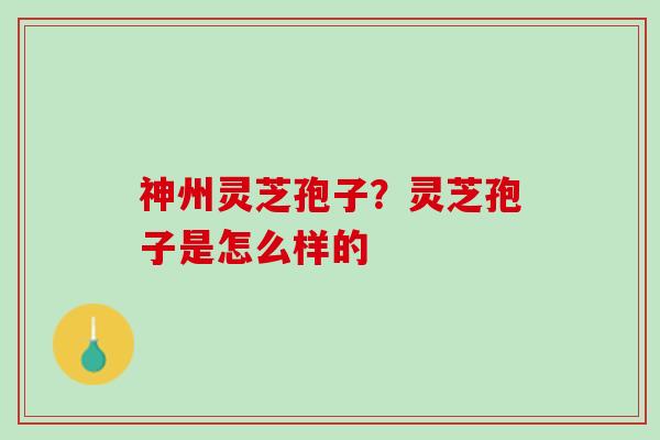 神州灵芝孢子？灵芝孢子是怎么样的
