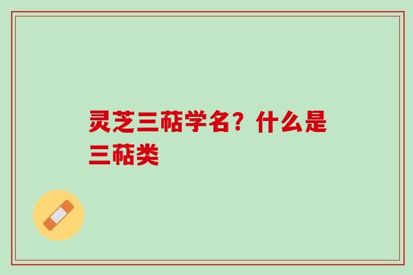 灵芝三萜学名？什么是三萜类