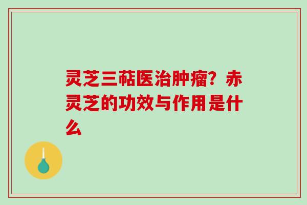 灵芝三萜医治肿瘤？赤灵芝的功效与作用是什么
